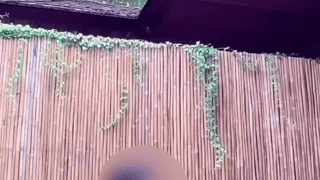 泳池边偷情邻居人妻，激情内射腿软