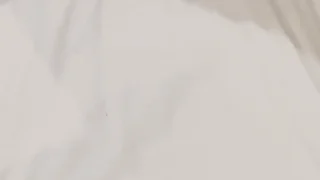 3P黑丝少妇骚逼大乱战！黑丝撕裂前后猛操，少妇浪叫高潮喷水